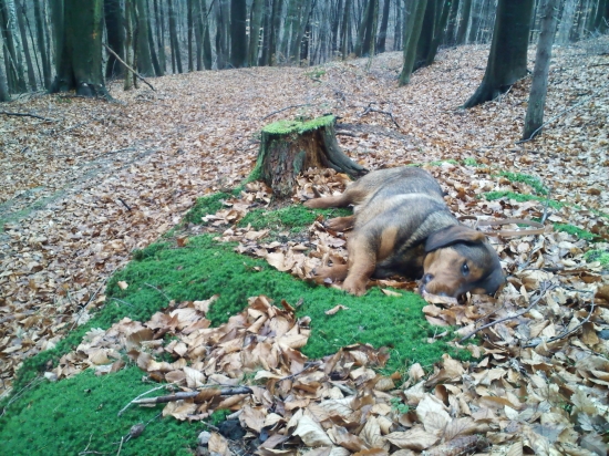 ...som úúúplne hotovýýý:-)!