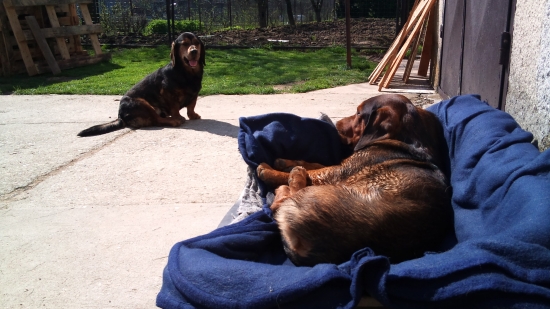 ...pohodička, pohodaaá!