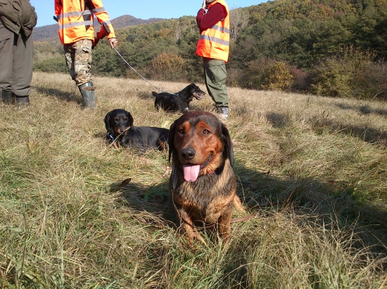 ...v sobotu na spoločnej bolo výborne...!