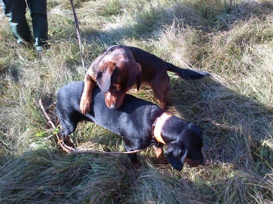 ...zlato poď na to...:-)!