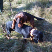 ...zlato poď na to...:-)!