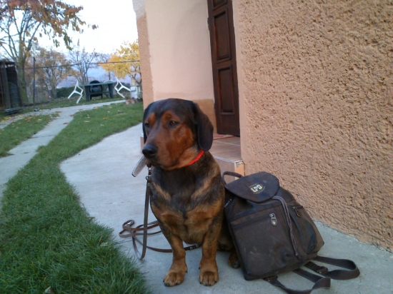 ...pripravený do pohonu, a ide sa!!!