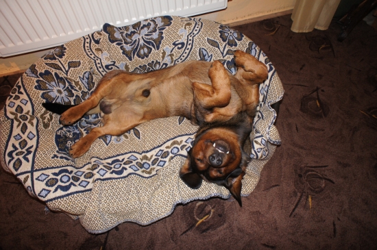 ...zaslúžený oddych po dvoch dňoch spoločných...:-)!