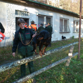 ...a že Kazan je cirkusák...a čo poviete na Adynku...:-)!