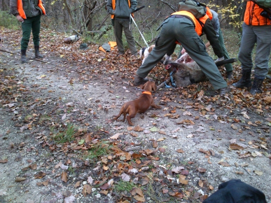 ...pustite ma k nemu ja Vám ho naporcujem...:-)!