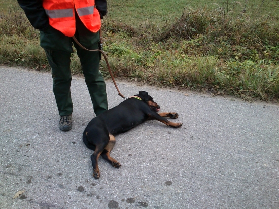 ...čooo tretí pohon?! Ja už nejdem nikde...:-)!
