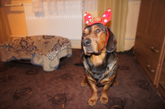 ...Kazanko vo Vianočnej nálade...:-)))!