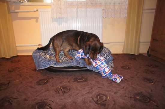 ...hurááá darček!!! (alebo malá spomienka na Vianoce)