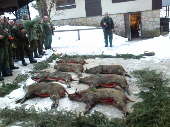 ...prasiatko k prasiatku...:-)!