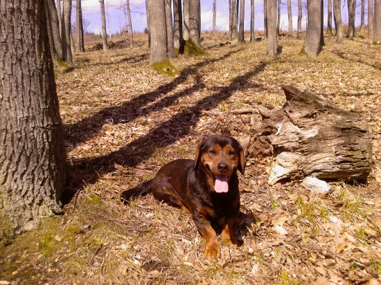 ...Hero spod Krasína...(ešte za mladších čias!)