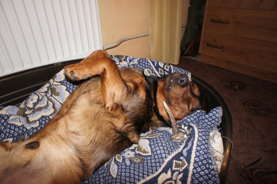 ...s parožkom za uškom...:-)!