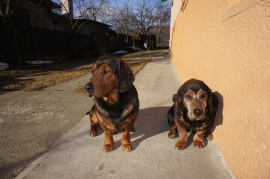 ...vyhrievanie kožúškov...:-)!