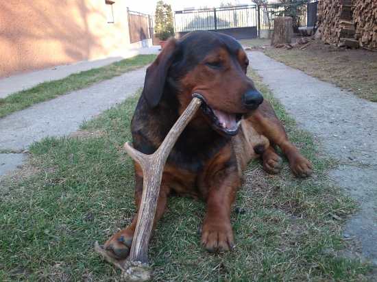 ...mňam, mňam to je ale dobrotka...:-)!