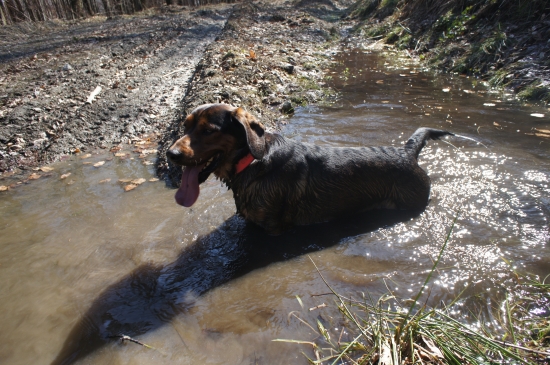...a už sa to zasa čvachce...:-)!