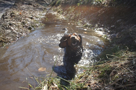 ...užíva si to...:-)!