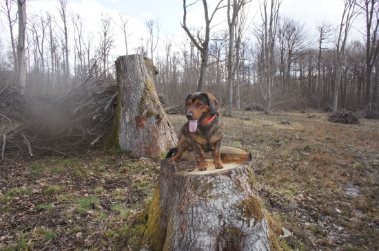 ...a prečo tu musím sedieť?!