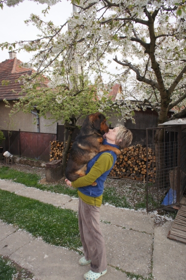 ...ale som si naložila...:-)!