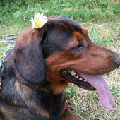 ...môj romantik...:-)!