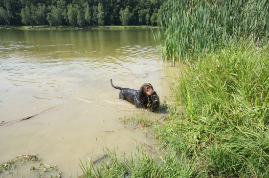 ...uf, uf...ten káčer je ale ťažký...
