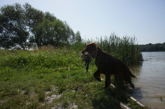 ...ukážková práca!