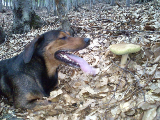 ...mňáááám...:-)!