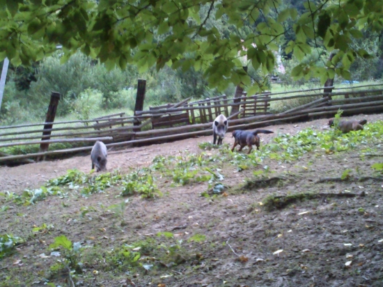 ...tak čo, rozdáme si to...:-)?!