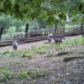 ...tak čo, rozdáme si to...:-)?!