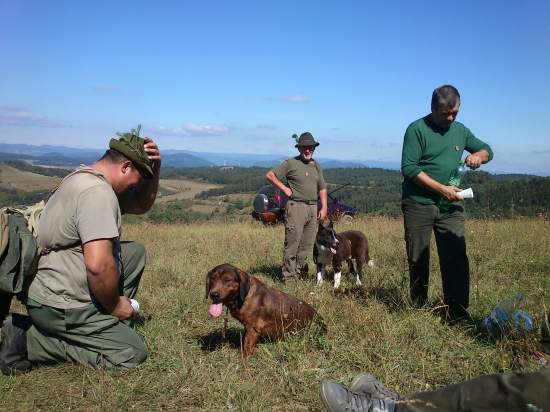 ...psíček môj pred tebou na koleno padám a klobúk svoj skladám...:-)