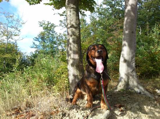 ...jesenný úsmev...:-)!