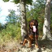 ...jesenný úsmev...:-)!