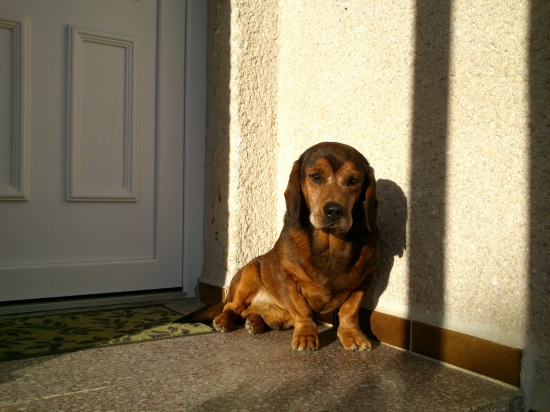 ...Jimmy spod Krasína...alebo 