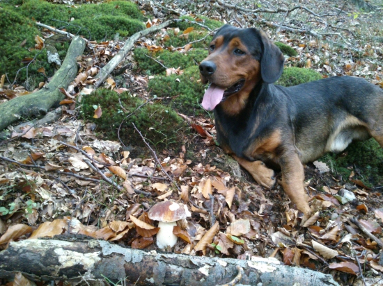 ...dvaja fešáci...:-)!