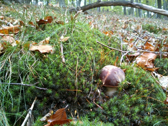 ...totálne maskovanie...:-)!