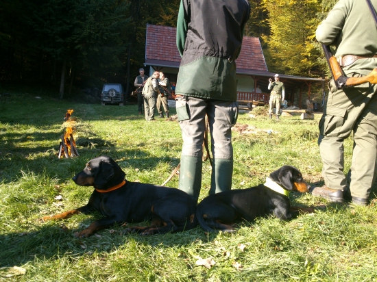 ...prekrásne naaranžované...:-)!