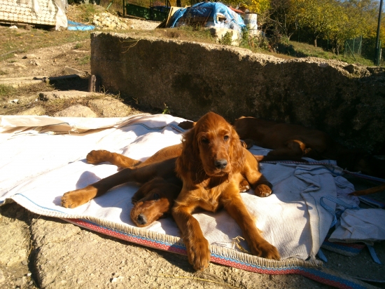 ...pohodička na dvore...:-)!