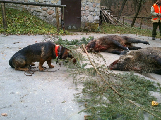 ...ten diviak na mňa žmurkol??!!