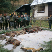 ...vydarená poľovačka....:-)!