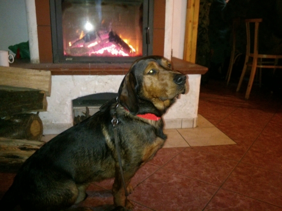 ...môžem k tejto krbovej pohodičke poprosiť jeden koňačik...:-)!