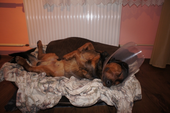 ...pokoj na lôžku...:-)!