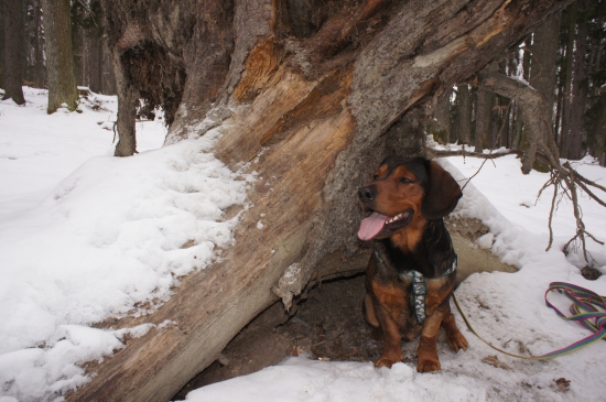 ...malý Kazan pri veľkom vývrate...:-)!