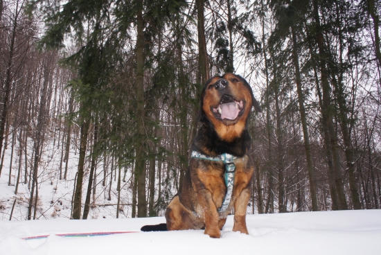 ...on je skrátka vždy veselý...:-)!