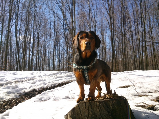 ...len tak v lese...:-)!