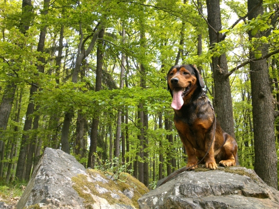 ...sedím na skale a je mi dobre...:-)!