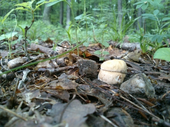 ...sezóna 2013 - zahájená...:-)!