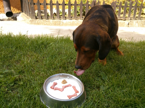 ...oslávenec alebo už si môžem dať?!...:-)!