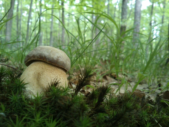 ...skrátka nádhera!