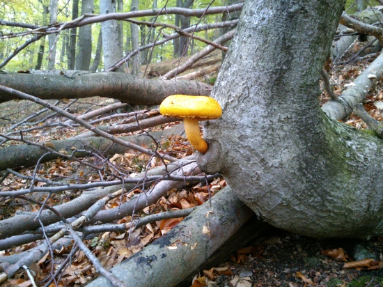 ...dobré miesto si vybral....:-)!