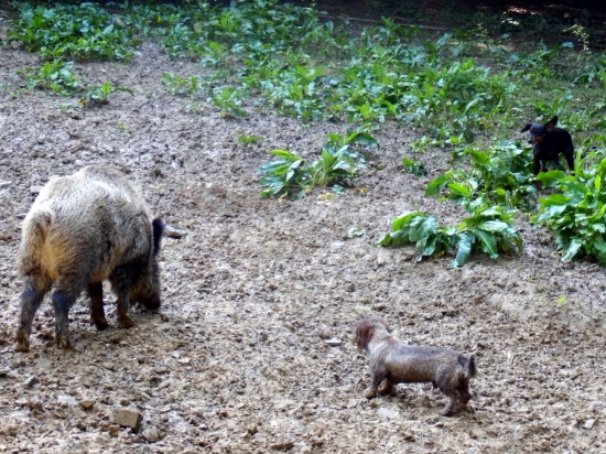 ...obkľúčime ju...ty z prava, ja z ľava....:-)!