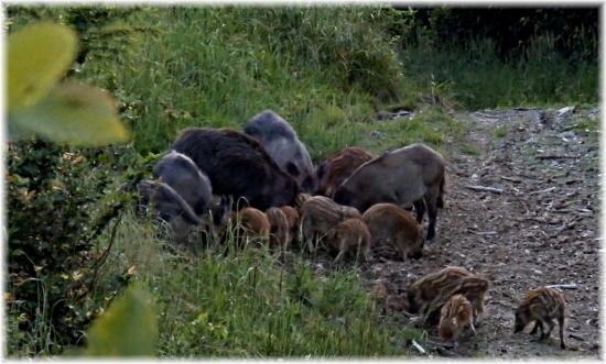 ...porada...alebo viac hláv, viac rozumu....:-)!