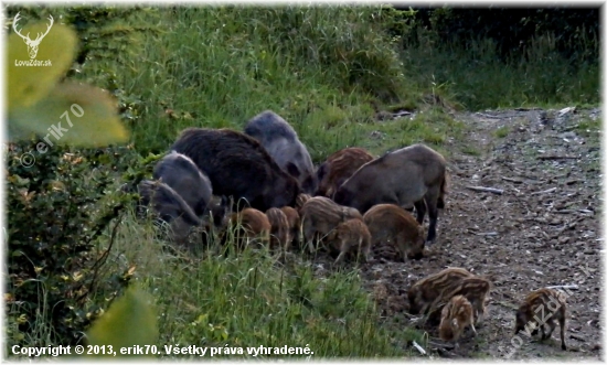 ...porada...alebo viac hláv, viac rozumu....:-)!